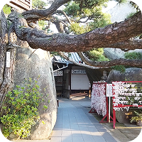 神社の外観